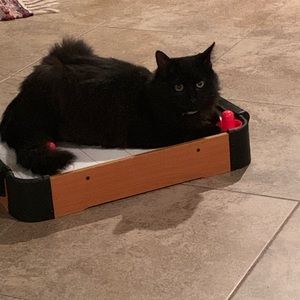 Meet your Posher, Mandy